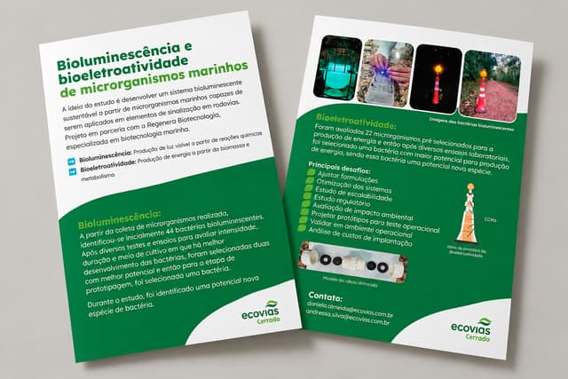 Folheto verde e branco da Ecovias Cerrado sobre bioluminescência de microrganismos marinhos, frente e verso